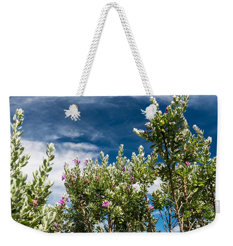 Purple Sage Weekender Tote Bag featuring the photograph Purple Sage and Sky by Ivars Vilums