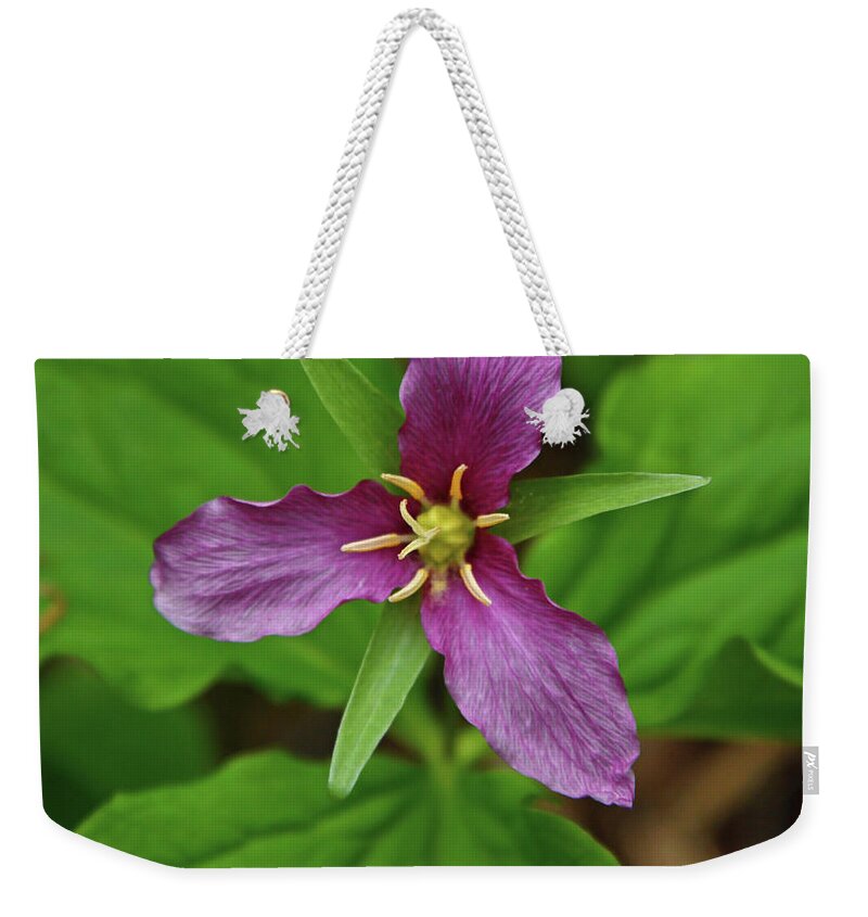 Trillium Weekender Tote Bag featuring the photograph Purple Trillium by Whispering Peaks Photography