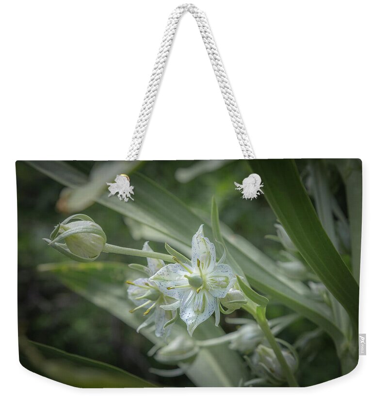 Hiking Weekender Tote Bag featuring the photograph Put Your Best Petal Forward by Jen Manganello