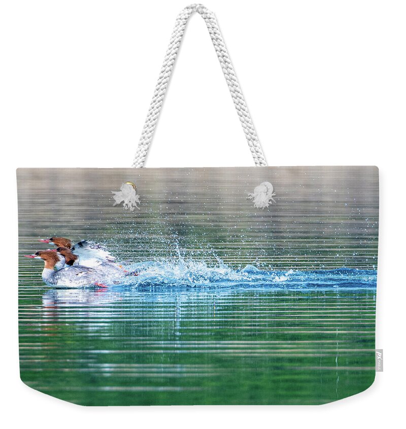 Duck Weekender Tote Bag featuring the photograph Racing Ducks by Mark Hunter
