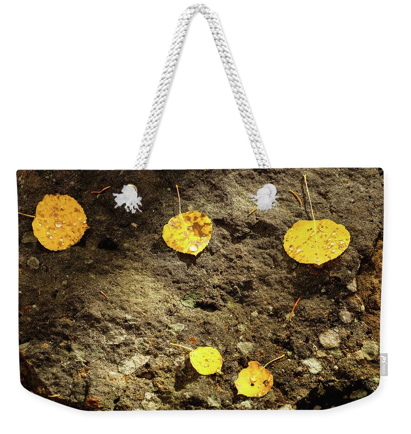 Aspens Weekender Tote Bag featuring the photograph Rain Drops On Aspen Leaves by Johnny Boyd