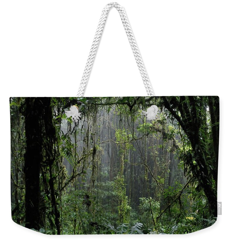 Prehistoric Era Weekender Tote Bag featuring the photograph Rain Forest by Pacoromero