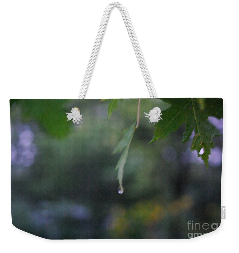 Nature Weekender Tote Bag featuring the photograph Raining by Frank J Casella
