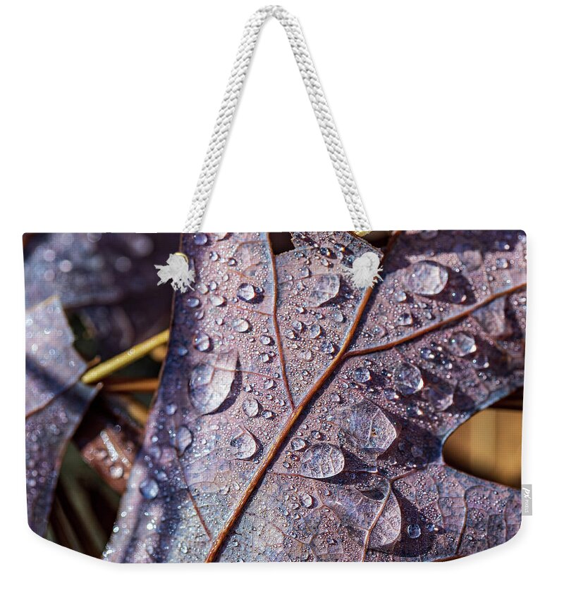 Poconos Weekender Tote Bag featuring the photograph Nature Photography - Fall Leaves by Amelia Pearn