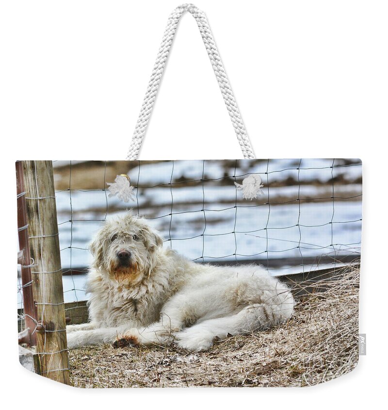 Sheep Dog Weekender Tote Bag featuring the photograph Ranch Hand by Vivian Martin