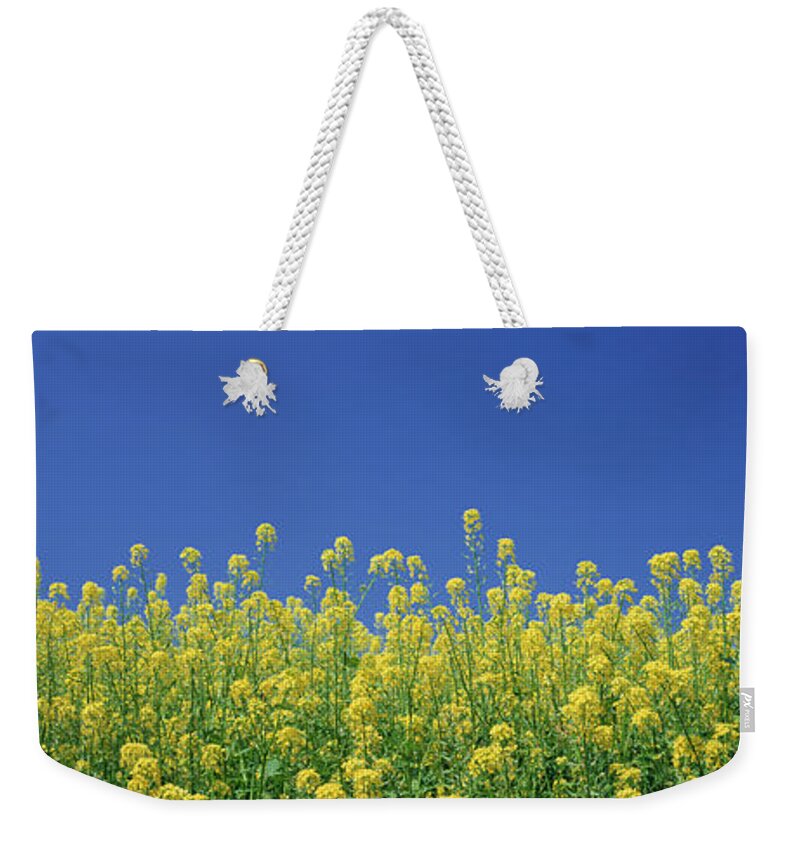 Photography Weekender Tote Bag featuring the photograph Rape Flowers by Panoramic Images
