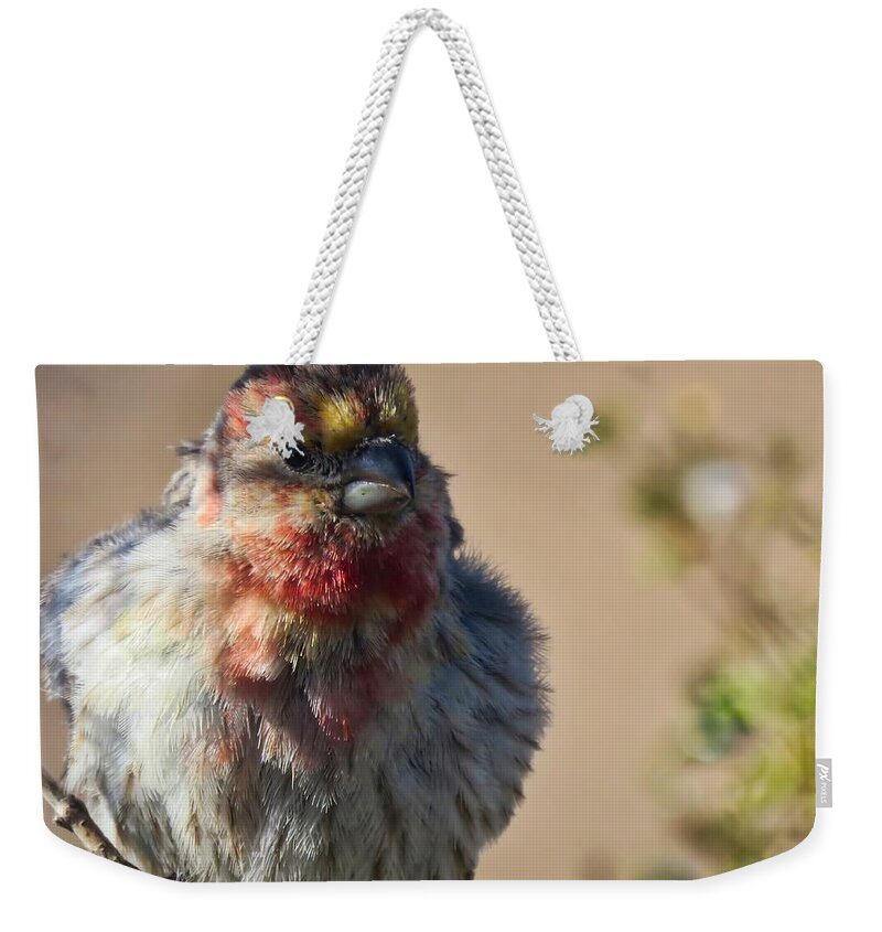 Arizona Weekender Tote Bag featuring the photograph Rare Multicolored Male House Finch by Judy Kennedy