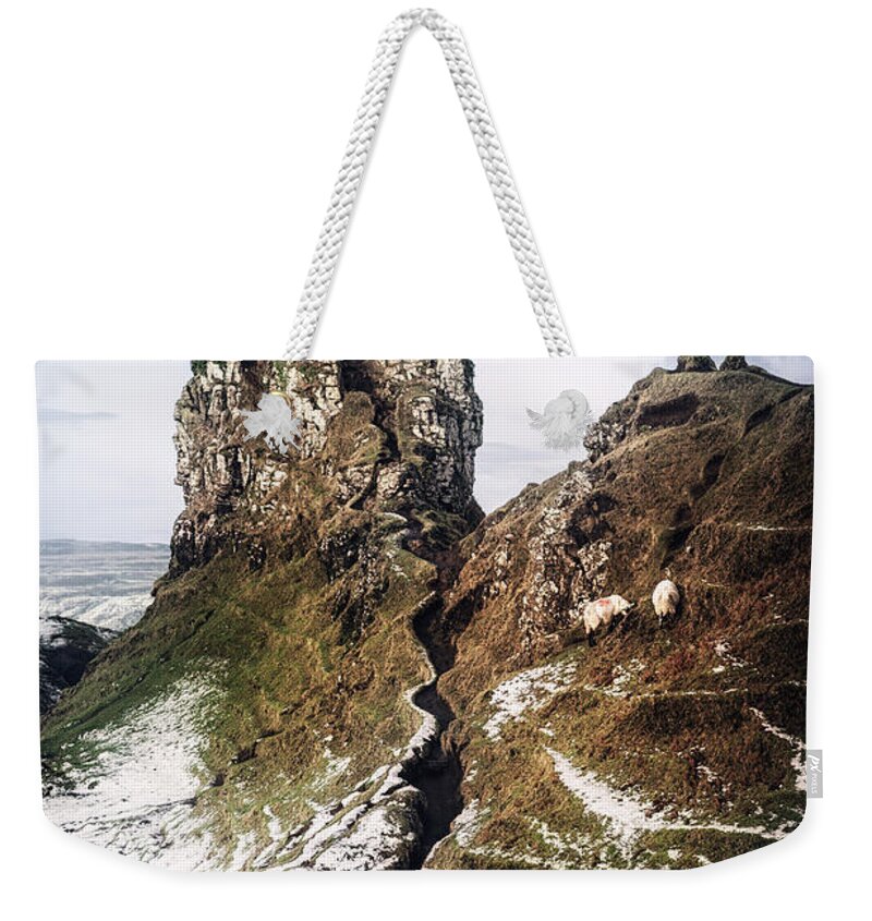 Kremsdorf Weekender Tote Bag featuring the photograph Reach For Me by Evelina Kremsdorf