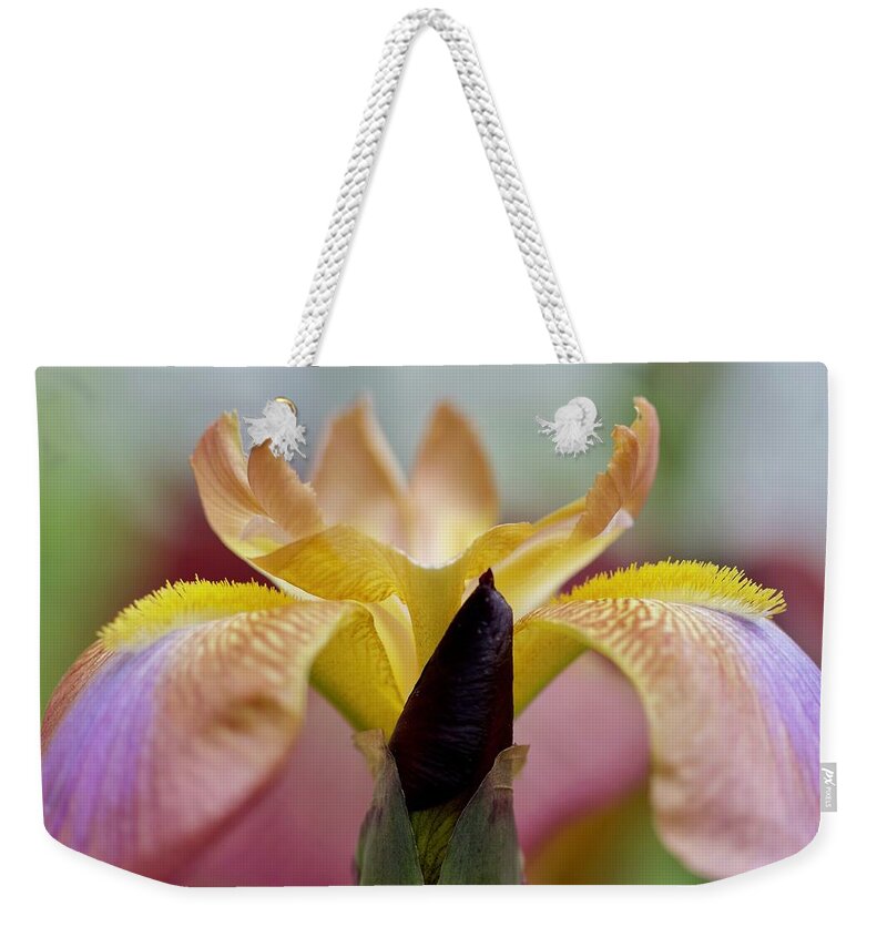 Flower Weekender Tote Bag featuring the photograph Reaching Out by Sherry Hallemeier