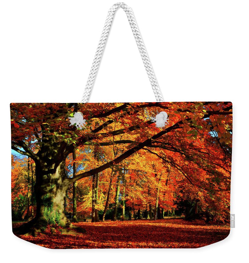 Autumn Weekender Tote Bag featuring the photograph Red Autumn by Philippe Sainte-Laudy