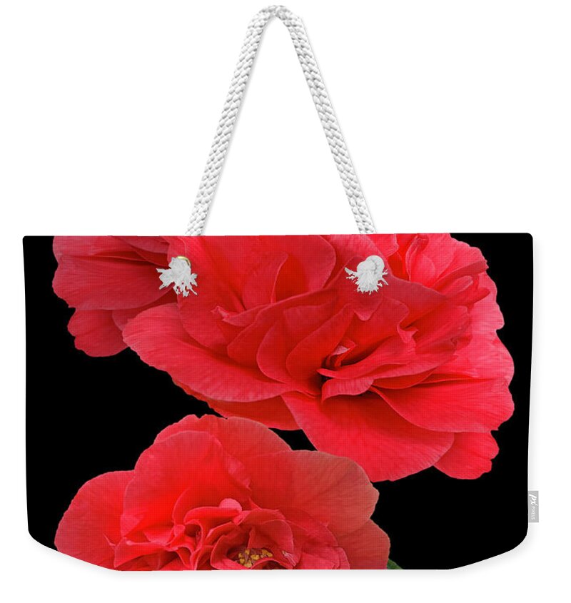 Red Flowers Weekender Tote Bag featuring the photograph Red Camellias On Black Vertical by Gill Billington