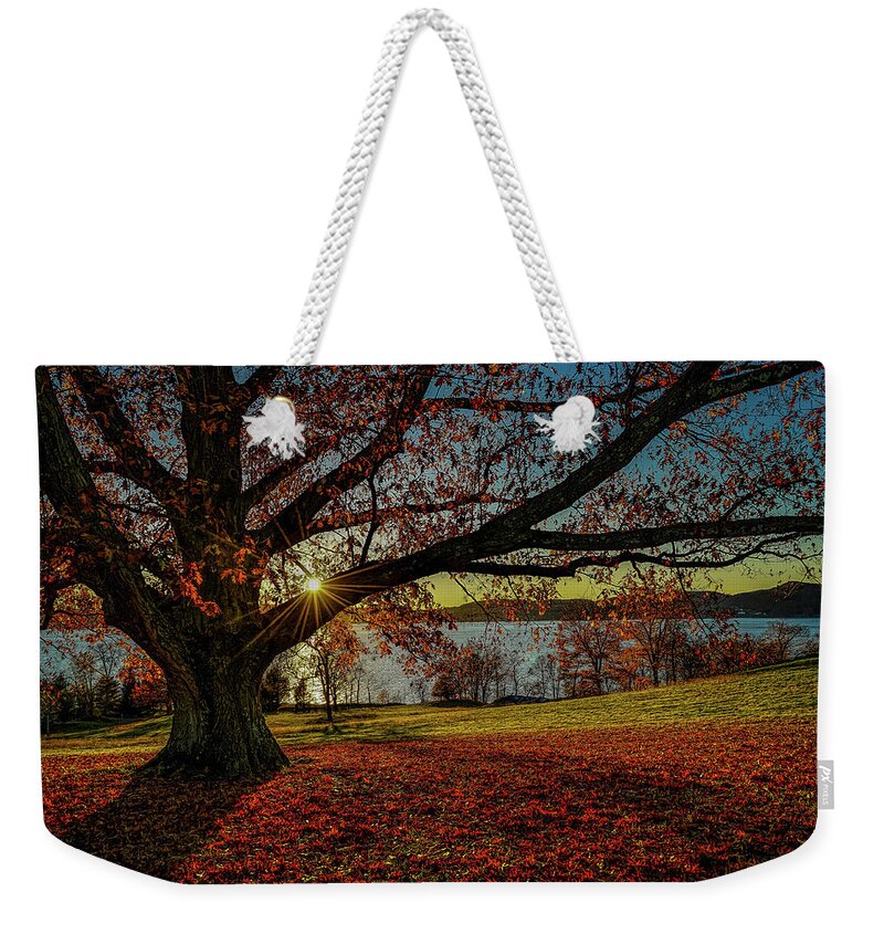 Jeffrey Friedkin Photography Weekender Tote Bag featuring the photograph Red Carpet 2 by Jeffrey Friedkin