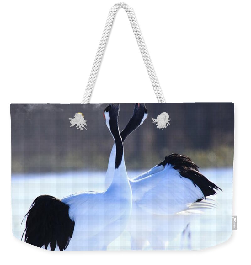 Hokkaido Weekender Tote Bag featuring the photograph Red-crowned Crane by Piterpan