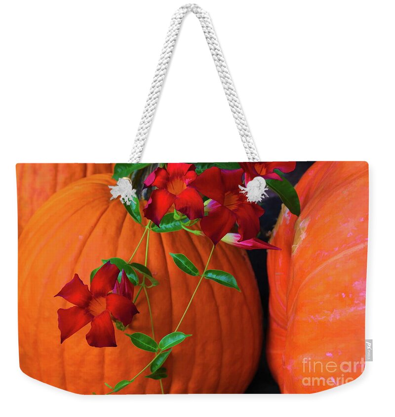 Red Weekender Tote Bag featuring the photograph Red Cypress Vine and Pumpkins by Diana Mary Sharpton