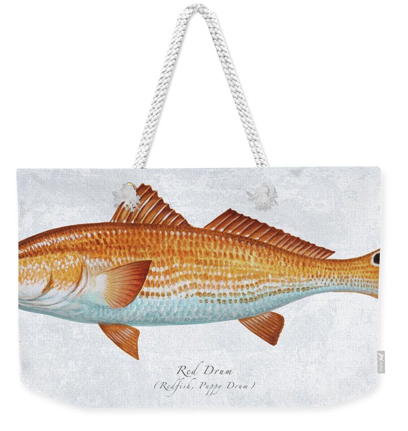 Red Drum Weekender Tote Bag featuring the painting Red Drum Portrait by Guy Crittenden