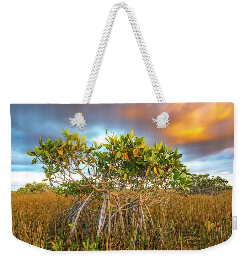 Jeff Foott Weekender Tote Bag featuring the photograph Red Mangrove In The Everglades by Jeff Foott