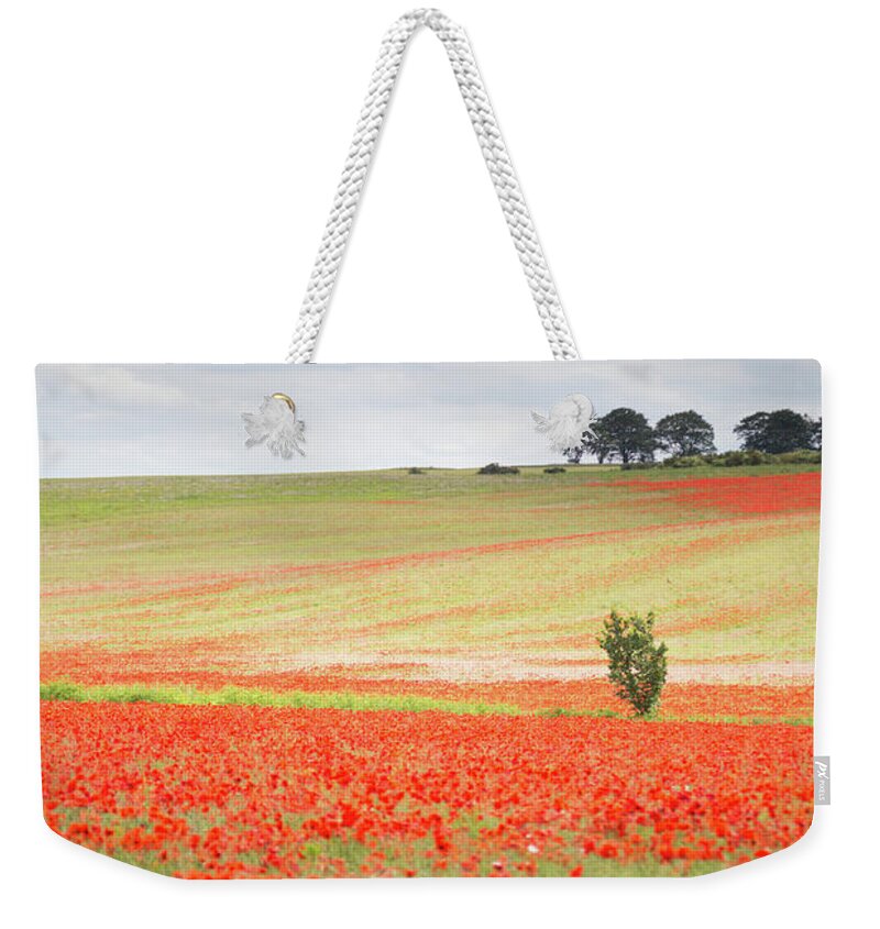 Landscape Weekender Tote Bag featuring the photograph Red poppy field, Norfolk by Anita Nicholson