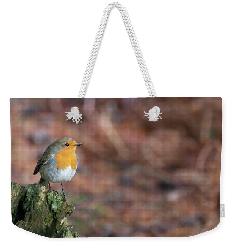 Robin Weekender Tote Bag featuring the photograph Red Robin in the woods at Autumn by Anita Nicholson