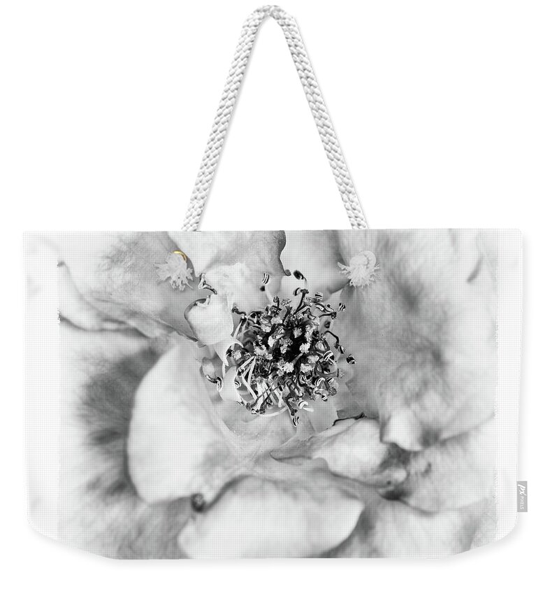 Rose Weekender Tote Bag featuring the photograph Red rose flower details by Michalakis Ppalis