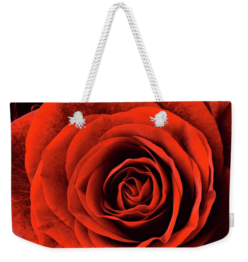 Petal Weekender Tote Bag featuring the photograph Red Rose Macro by Clarkandcompany