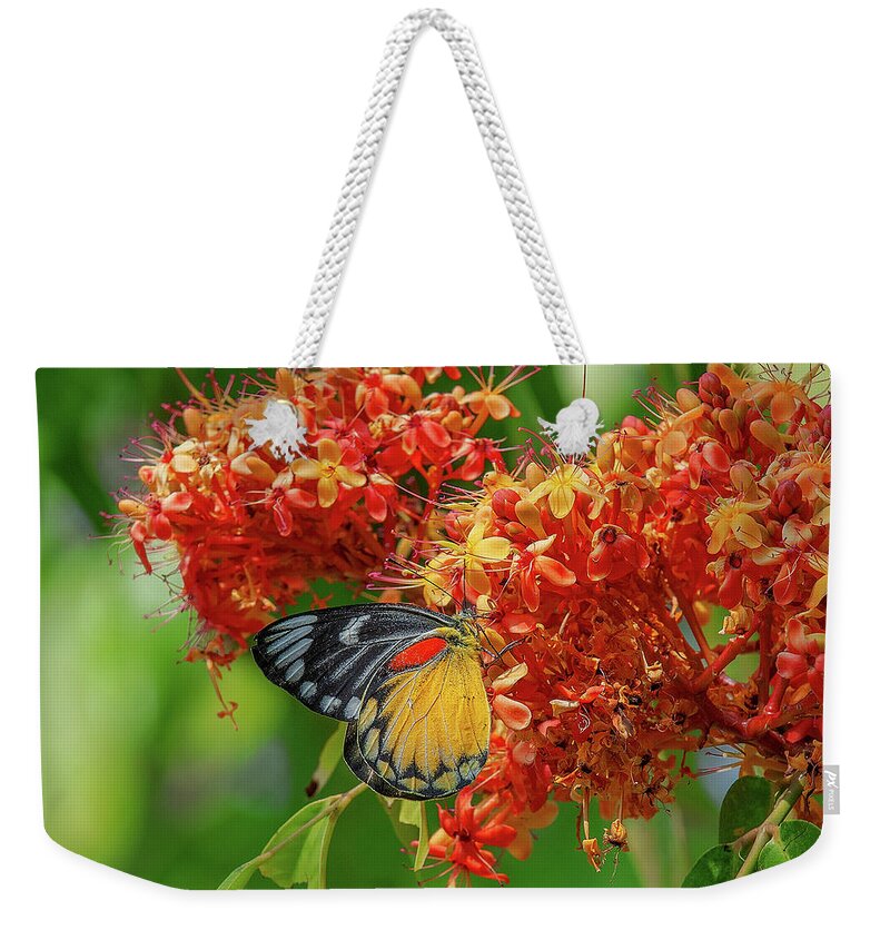 Nature Weekender Tote Bag featuring the photograph Red-spot Jezebel Butterfly DTHN0235 by Gerry Gantt