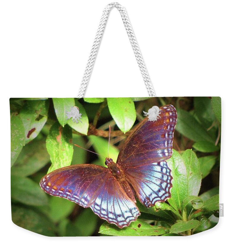 Natural Pattern Weekender Tote Bag featuring the photograph Red Spotted Purple Butterfly by Daniela Duncan