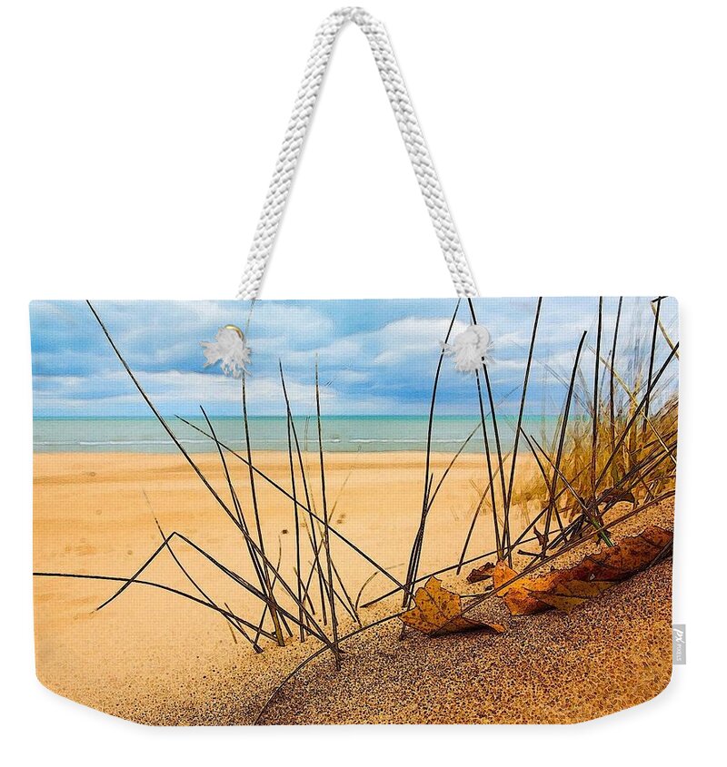 Dunes Weekender Tote Bag featuring the painting Reflection by Teresa Trotter