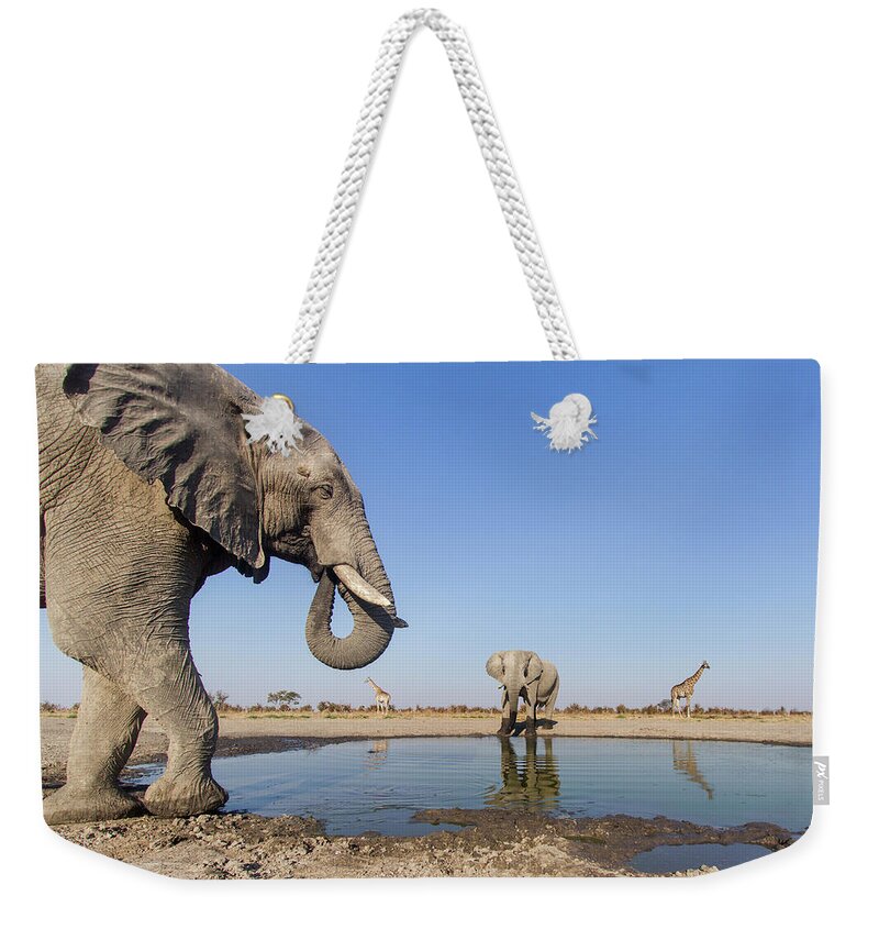 Scenics Weekender Tote Bag featuring the photograph Remote Camera View Of African by Paul Souders