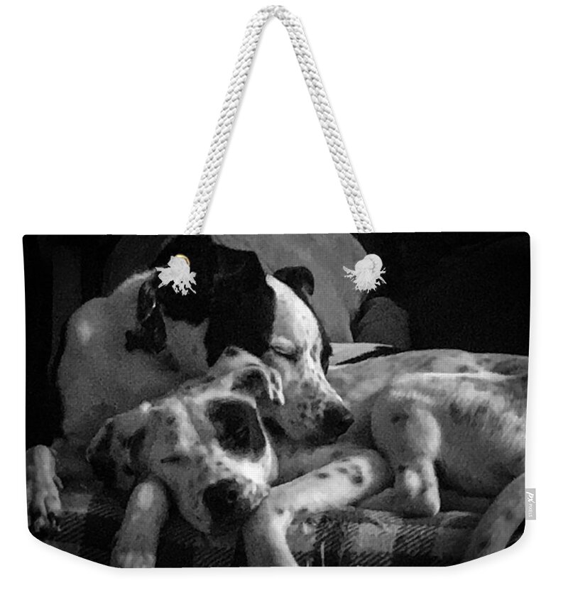 Dogs Weekender Tote Bag featuring the photograph Rescued and Best Friends by Veterans Aerial Media LLC