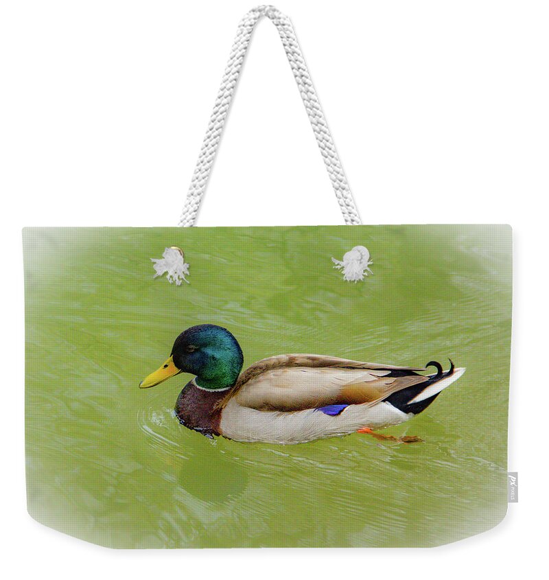 Duck Weekender Tote Bag featuring the photograph Resting Duck by Allen Nice-Webb