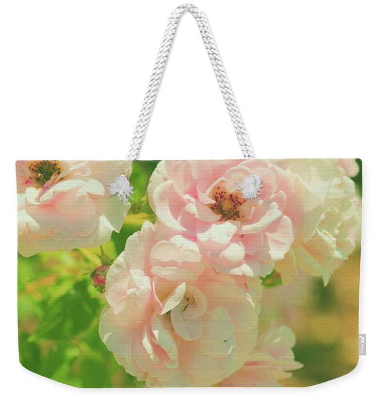 Scenics Weekender Tote Bag featuring the photograph Retro Pink Summer Roses by Poppy Thomas-hill