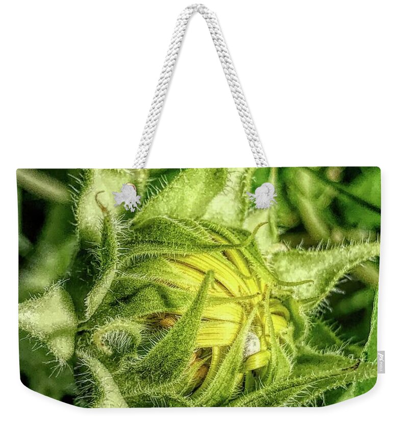 Art Weekender Tote Bag featuring the photograph Return of the Political by Jeff Iverson