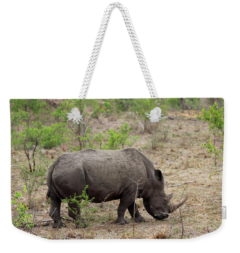  Weekender Tote Bag featuring the photograph Rhino by Eric Pengelly
