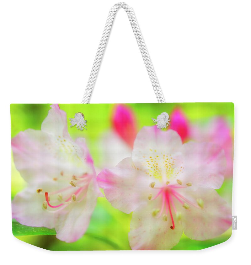 Nature Weekender Tote Bag featuring the photograph Rhododendron 5 by Leland D Howard