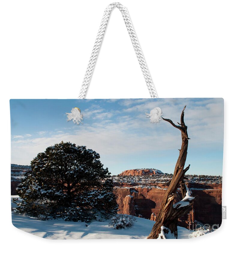 Colorado Weekender Tote Bag featuring the photograph Rimrock View by Julia McHugh