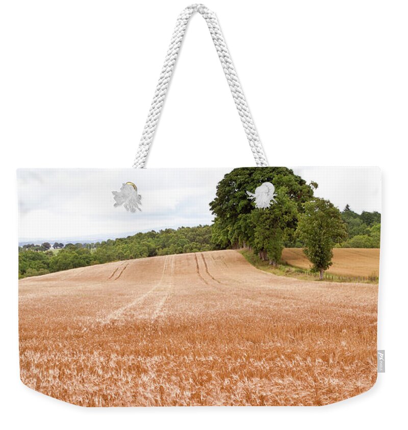 Stirling Weekender Tote Bag featuring the photograph Ripe Wheat by Peter Chadwick Lrps
