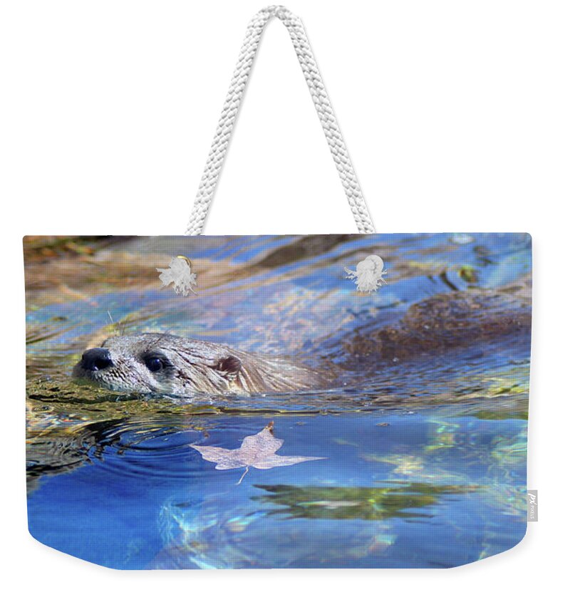 Otter Weekender Tote Bag featuring the photograph River otter on first day of autumn by Steve Karol
