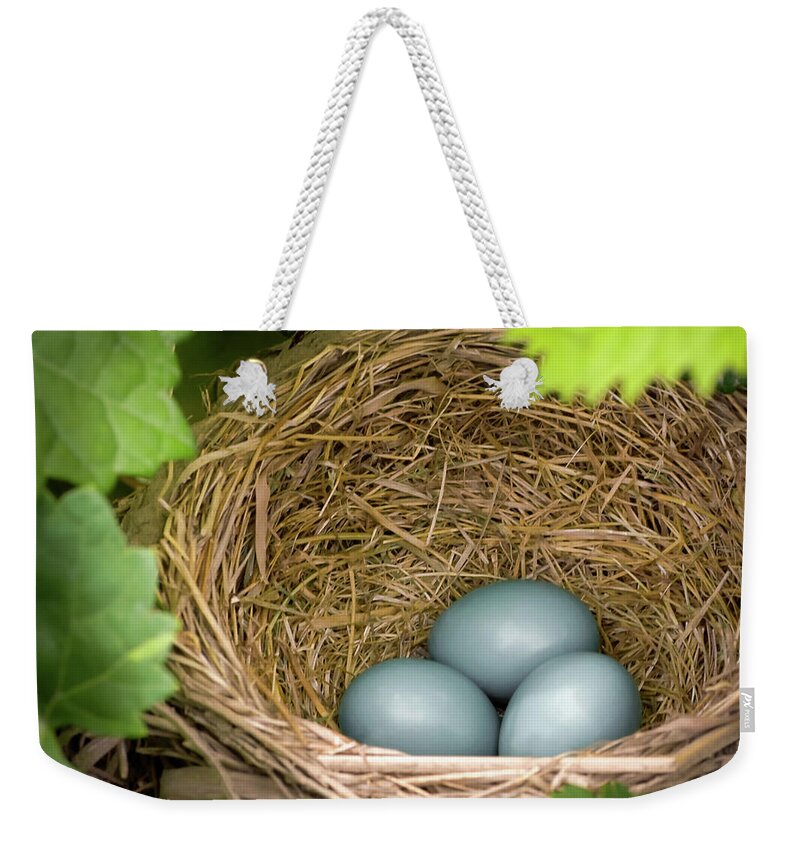 Robin Weekender Tote Bag featuring the photograph Robin Egg Blues by James Barber