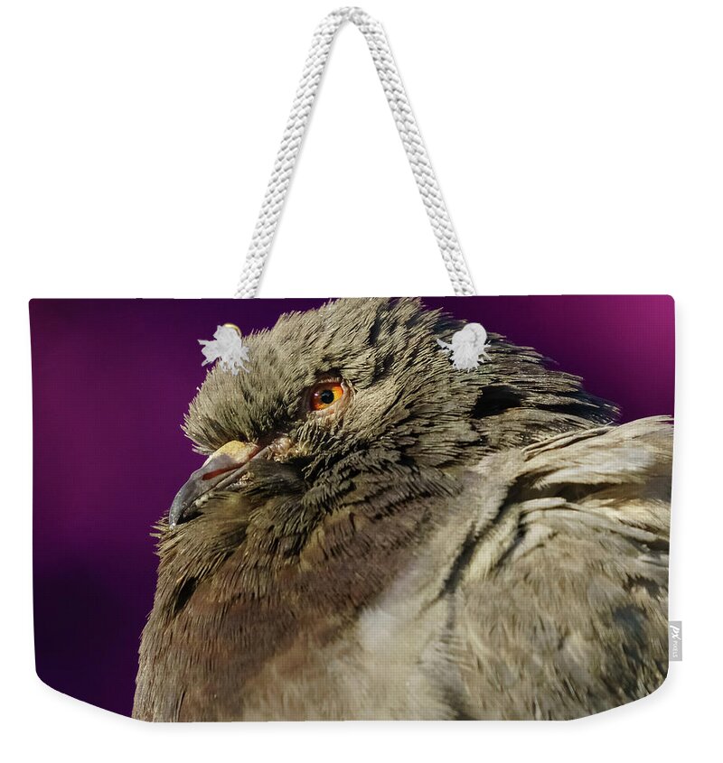 Feather Weekender Tote Bag featuring the photograph Rock Pigeon and Iron Fountain Headshot by Pablo Avanzini