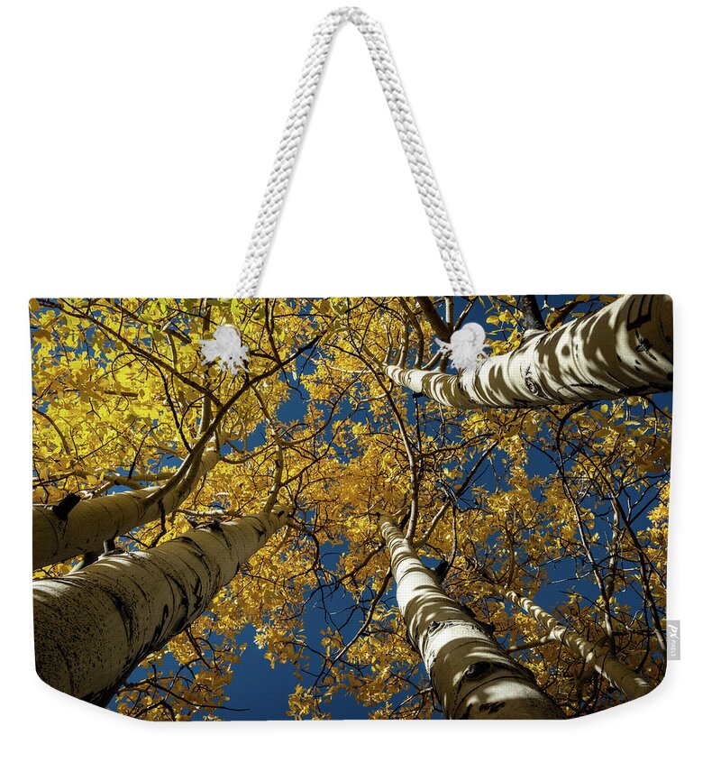 Rocky Mountain Fall Weekender Tote Bag featuring the photograph Rocky Mountain Fall by George Buxbaum
