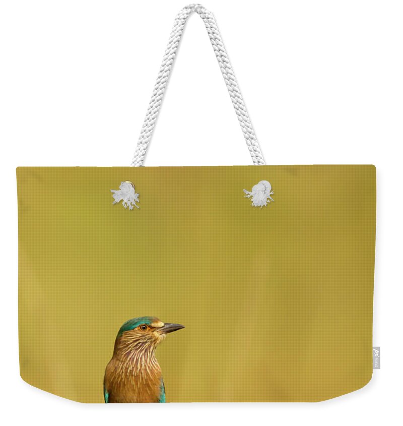 Animal Themes Weekender Tote Bag featuring the photograph Roller Coracias Benghalensis by Andrew Sproule