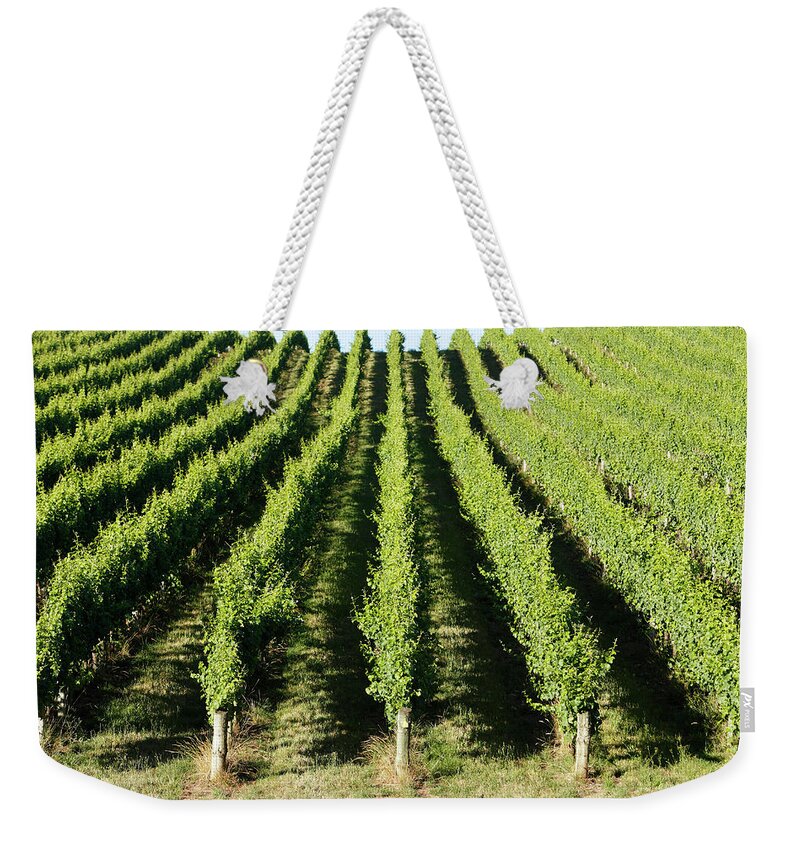 Scenics Weekender Tote Bag featuring the photograph Rolling Green Vineyard In Afternoon by Beyondimages