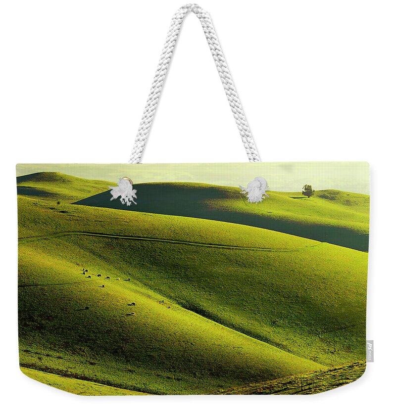 Scenics Weekender Tote Bag featuring the photograph Rolling Hills In Livermore by Copyright (c) Richard Susanto