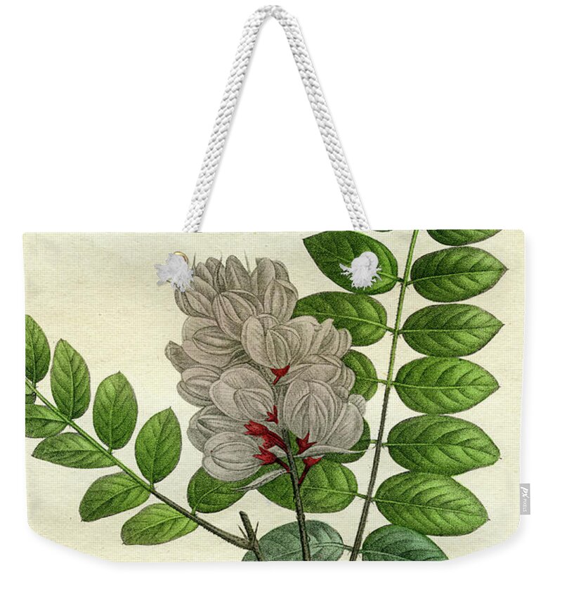 Rose Flowering Locust Weekender Tote Bag featuring the mixed media Rose Flowering Locust by Unknown