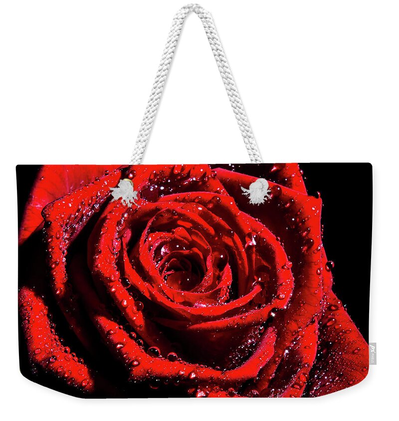 Rose Weekender Tote Bag featuring the photograph Rose by Gunnar Orn Arnason