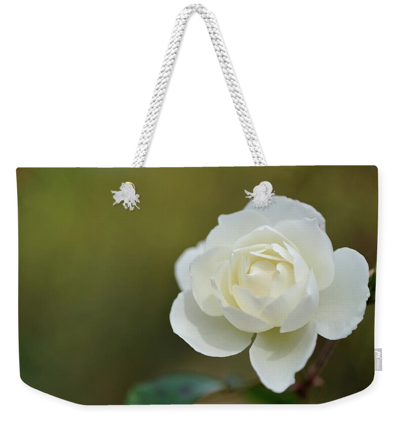 Scenics Weekender Tote Bag featuring the photograph Rose by Keiichihiki