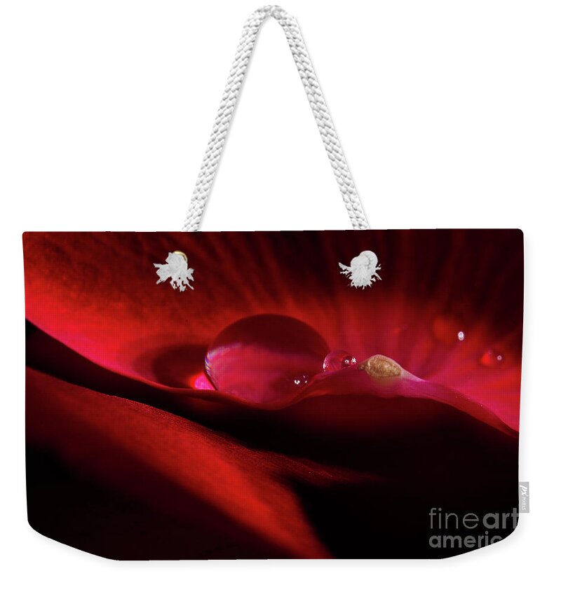 Rose Weekender Tote Bag featuring the photograph Rose Petal Droplet by Mike Eingle