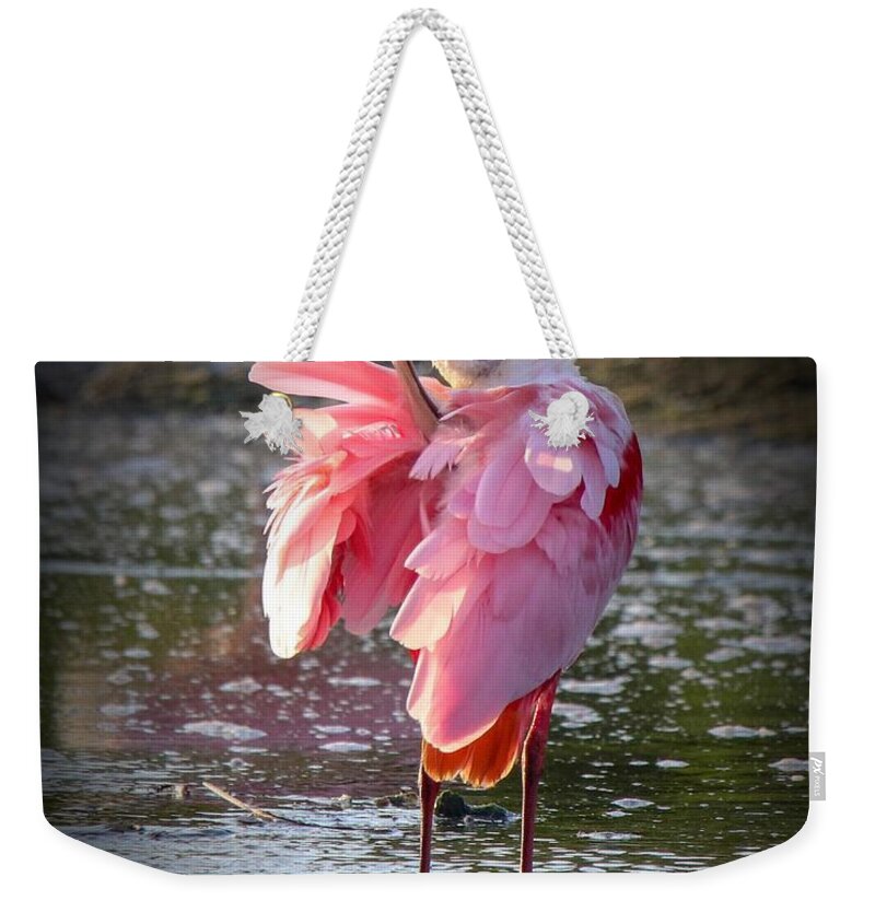 Tranquil Weekender Tote Bag featuring the photograph Roseate Spoonbill by Susan Rydberg