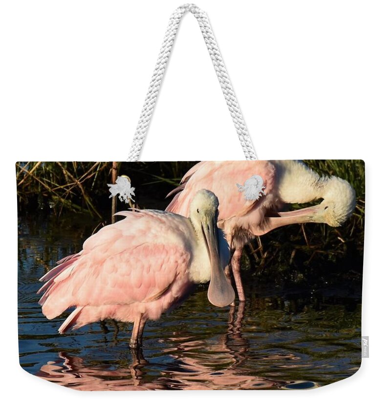 Roseate Spoonbill Weekender Tote Bag featuring the photograph Roseate Spoonbills by Chip Gilbert