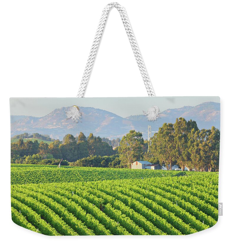 Scenics Weekender Tote Bag featuring the photograph Rows Of A Vineyard Landscape In Bright by S. Greg Panosian